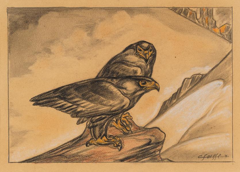 Couple d'aigles bateleurs